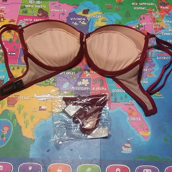 Fredrick's of Hollywood Burgundy Leopard Bra & Panty Set 32D & (S) - Picture 15 of 16
